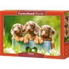 Image de Castorland Cute Dachshunds   Puzzel   500 stukjes   Satijnen afwerking   Perfecte pasvorm   Europese kwaliteit