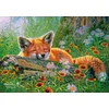 Image de Castorland puzzel Foxy Dreams - 500 stukjes legpuzzel.