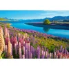 Image de Castorland puzzel Lake Tekapo legpuzzel 500 stukjes New Zealand.