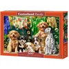 Image de Castorland puzzel 500 stukjes: puppy's, wasgoed en vogels