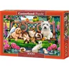 Image de Castorland Pets in the Park   Puzzel   1.000 stukjes   Satijnen afwerking   Perfecte pasvorm   Europese kwaliteit