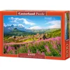Image de Castorland Hala G sienicowa, Tatras, Poland - Puzzel - 1.000 stukjes   Satijnen afwerking   Perfecte pasvorm   Europese kwaliteit