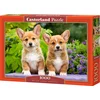 Image de Castorland Welsh Corgi Puppies   Puzzel   1.000 stukjes   Satijnen afwerking   Perfecte pasvorm   Europese kwaliteit