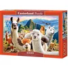 Image de Castorland Llamas Selfie   Puzzel   1.000 stukjes   Satijnen afwerking   Perfecte pasvorm   Europese kwaliteit