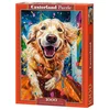 Image de Castorland puzzel Euphoric Spectrum - 1000 stukjes kleurrijk legpuzzel.