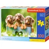 Image de Castorland Cute Dachshunds   Puzzel   100 stukjes   Honden   Premium kwaliteit