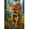 Image de Castorland puzzel Mountain Lion bos - 1500 stukjes legpuzzel.