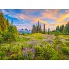 Image de Castorland puzzel Blossoms of Morning - 2000 stukjes legpuzzel.