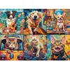 Image de Castorland puzzel legpuzzel Choose Your Pet - 2000 stukjes katten.