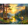 Image de Castorland Sunset over Forest River   Puzzel   3000 stukjes   Satijnen afwerking   Perfecte pasvorm   Europese kwaliteit
