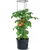Image de Prosperplast Vorstbestendige tomatenpot Tomatenteler IPOM300