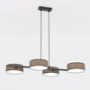 Image de De Ebion van DRUMZ 4 Bruine Hanglamp/Plafonllamp E14 10W LED