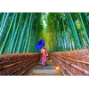 Image de Enjoy Puzzle legpuzzel Asian Woman in Bamboo Forest - 1000 stukjes.