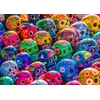 Image de Colorful Skulls Puzzel 1000 Stukjes