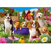 Image de Puppy Patch Puzzel 1000 Stukjes