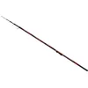 Image de Carp Expert Evolution Power Bolognese Hengel Goud 5.00 m / 5-35 g