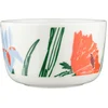 Image de Marimekko Oiva / Puutarhakutsut bowl 2.5dl oranje