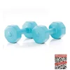 Image de Gymstick Active Vinyl Dumbells - Met Online Trainingsvideo's - 2 x 3 kg