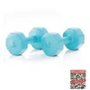 Image de Gymstick Active Vinyl Dumbbell Set - Blauw - 2 x 5 kg