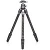 Image de Benro TTOR14CGX25 Tortoise Carbon Fiber 3 poot met bal hoofd