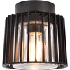 Image de LUTEC - Shyne plafondlamp voor buiten - E27 - Zwart