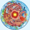 Image de Ondergrondse wereld puzzel