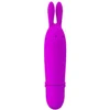 Image de Pretty Love Boyce Mini Vibrator
