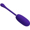 Image de Kirk Oplaadbare Vibrerende Egg Paars