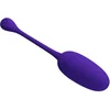 Image de Knucker Purple Oplaadbaar Vibrerende Egg