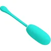 Image de Kirk Oplaadbaar Vibrerende Egg Aqua Green