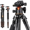 Image de K&F Pro Carbon-Stativ + Kugelkopf BH-36L