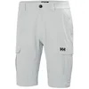 Image de Helly Hansen Qd Cargo Shorts Grijs 38 Man