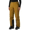 Image de Helly Hansen Switch Cargo 2.0 Broek Bruin XL Vrouw
