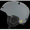 Image de POC Fornix MIPS