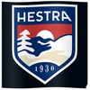 Image de Hestra Fall Line - 5 finger