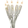 Image de Star Trading lichtketting 'P-LED Indoor', transparant, 20 P-LED's 2,85m