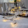 Image de Star Trading "Dew Drop flower" lichtslinger - 8 "bloemen" (96 LEDs) - zwart - 2m10 - indoor / outdoor
