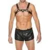 Image de Shots - Ouch! Borst Bulldog Harnas - L/XL black L/XL