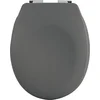 Image de SPIRELLA Toiletbril Softclose - Duroplast WC Bril met Geruisloos Sluitsysteem - Grijs - Antislip Voetjes - Chroomafwerking - Hygiënische Matte Afwerking