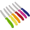 Image de Victorinox Swiss Classic Tomatenmessenset - 11cm - 6-delig - Multicolor - RVS en Kunststof