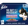 Image de FELIX Zo lekker als het eruit ziet Gemengde variatie Senior (1 x 12 x 85g)