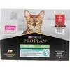 Image de PRO PLAN Multipack runderpatée - Voor gesteriliseerde katten - 10 x 85 g