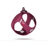Image de CURLI VEST HARNESS CLASP AIR-MESH RUBY M