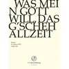 Image de Chor & Orchester Der J.S. Bach-Stiftung, Rudolf Lutz - J.S. Bach: Was Mein Gott Will, Das G'sch (DVD)