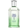 Image de Tommy Hilfiger Tommy Summer 100 ml Eau de Toilette Spray Limited Edition (uitlopend)