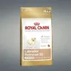 Image de ROYAL CANIN BHN Labrador Retriever Puppy - nourriture sèche pour chiots - 3kg en occasion ou reconditionné