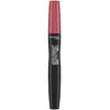 Image de Lasting Provacalips lip colour transfer proof #210-pink case of emergency