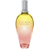 Image de Brisa Cubana eau de toilette vaporizador ed. lim. 100 ml