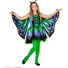Image de Vlinderpak blauw groen kind