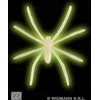 Image de WIDMANN - 42 fosforscerende spinnen
